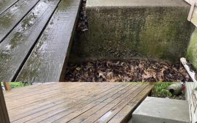 Power washing concrete and soft washing wood decks in Springfield, MO for a clean, refreshed outdoor.